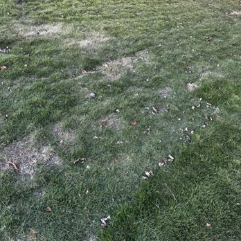 Southern Property Services - Landscaping Near Me
