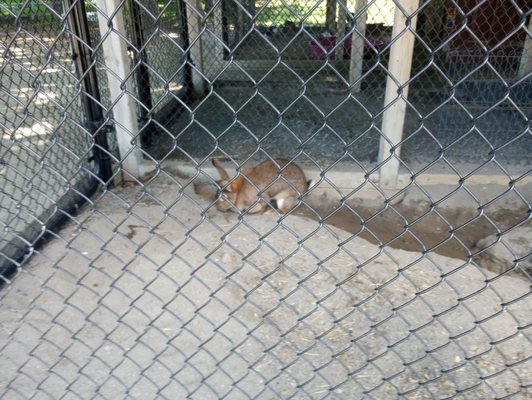 Canada Agriculture and Food Museum by null