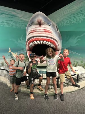 Mountain America Museum of Ancient Life at Thanksgiving Point by null