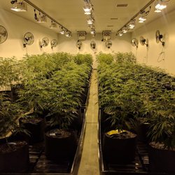 The Potlandia Experience - Grow... GROW!!!