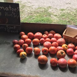 Deep Roots Farm - All ingredients grown locally
