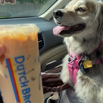 Dutch Bros Coffee - Medium iced Golden Eagle- Protein - Juice Bars & Smoothies Near Me - Missouri City, Texas Dutch Bros Coffee - Medium iced Golden Eagle- Protein - Juice Bars & Smoothies Near Me - Missouri City, Texas