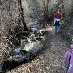 Skyline Drive Trails