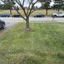 Photo of M & M Tree Services