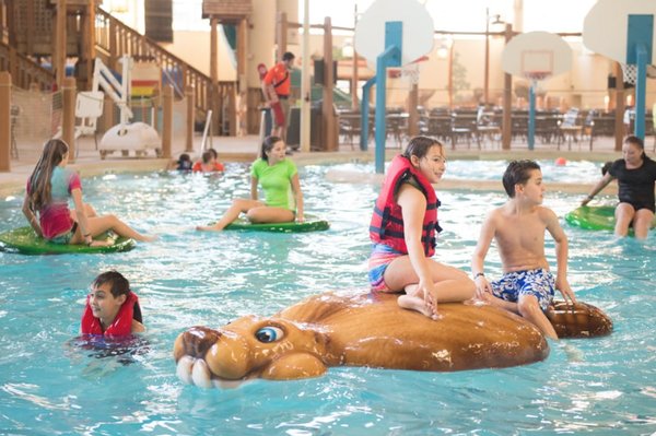 Great Wolf Lodge | Southwest Florida by null