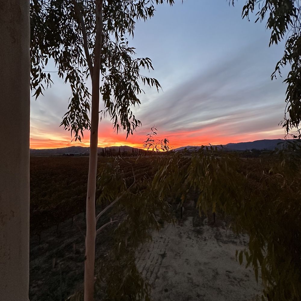 Ponte Vineyard Inn - Sunrise - Hotels Near Me - Temecula, California Ponte Vineyard Inn - Sunrise - Hotels Near Me - Temecula, California