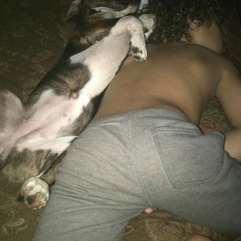 Orphan Annie Rescue - Pet Adoption Near Me - Atlanta, Georgia