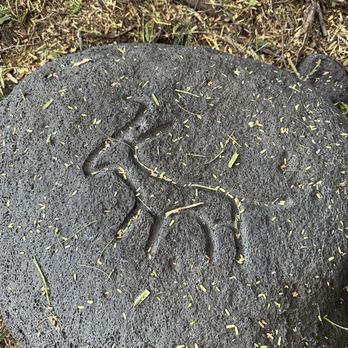 Puako Petroglyph Archeological Park - Parks Near Me - Waimea, Hawaii