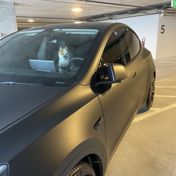A Helping Hand Mobile Services  - Auto Detailing Near Me