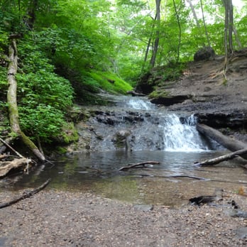 Parfrey's Glen - Hiking Near Me Parfrey's Glen - Hiking Near Me