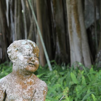 The Ringling - Grr... Argh... Cherub's giving the banyan tree the hairy eyeball? - Art Museums Near Me - Sarasota, Florida The Ringling - Grr... Argh... Cherub's giving the banyan tree the hairy eyeball? - Art Museums Near Me - Sarasota, Florida
