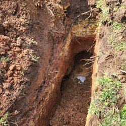 Dixon septic & sewer