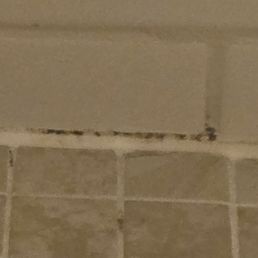 Mold