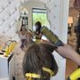 Drybar - Lincoln Plaza