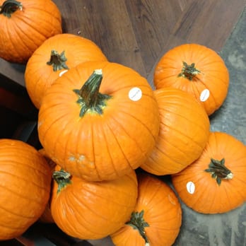 Fry's Marketplace Stores - Pumpkin time! - Grocery Near Me - Mesa, Arizona