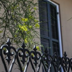 La Vie New Orleans Private Tours
