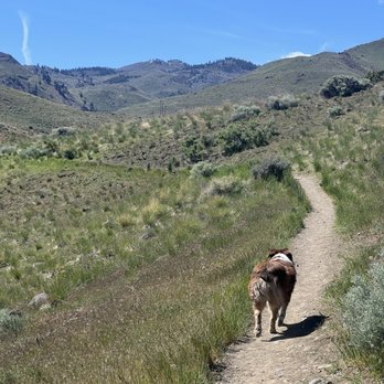 Tom Cooke Trail - Hiking Near Me - Reno, Nevada
