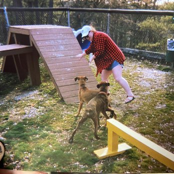 Eureka Springs KOA - Dog park (Kamp K9!) - RV Parks Near Me - Eureka Springs, Arkansas Eureka Springs KOA - Dog park (Kamp K9!) - RV Parks Near Me - Eureka Springs, Arkansas