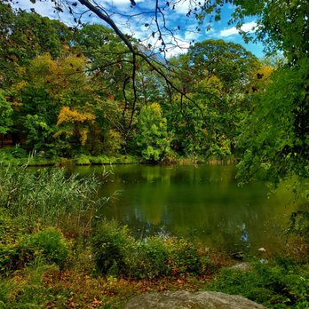 Lake Innisfree - Some serenity today - 10/15/2025 - Lakes Near Me - New Rochelle, New York Lake Innisfree - Some serenity today - 10/15/2025 - Lakes Near Me - New Rochelle, New York