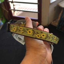 Park Ave Pets - Sadie's new collar from Park Ave Pets!