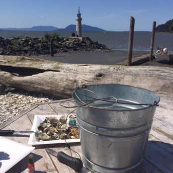 Taylor Shellfish Farms - our view while shucking at Taylor's. - Seafood Markets Near Me - Bow, Washington Taylor Shellfish Farms - our view while shucking at Taylor's. - Seafood Markets Near Me - Bow, Washington