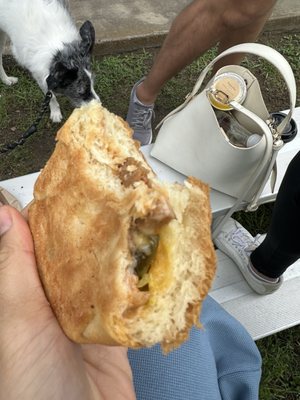 Texas VegFest by null