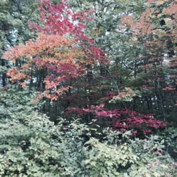 The grounds ... Peaceful The grounds ... Peaceful