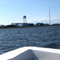 Salt Minded Fishing Charters
