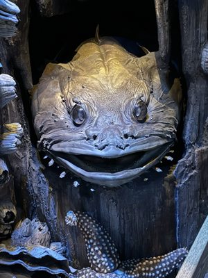 Florida Museum of Natural History by null