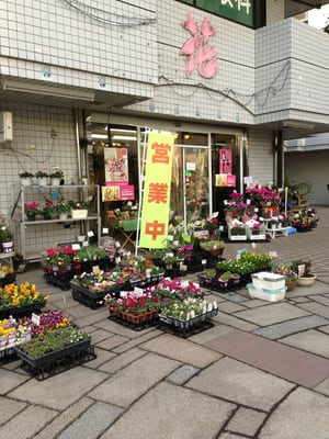 蒲生のお花屋さんとも Flowers Gifts 鶴見3丁目13 35 大阪市 鶴見区 大阪府 Japan Phone Number Yelp