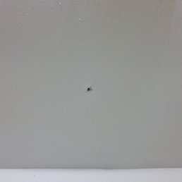 2016 January - First time leaking hole appeared, they later came and patched it