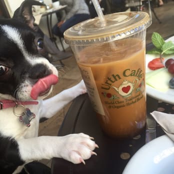 Urth Caffé-Pasadena - Cafes Near Me - Pasadena, California