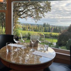 Rain Dance Vineyards - View from the kitchen/tasting room