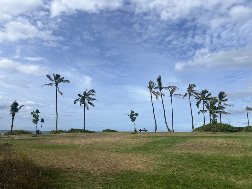 REE Medical - veterans service organization in Encinitas, CA