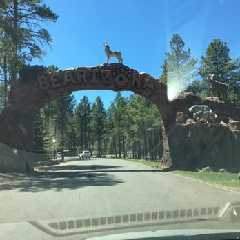Bearizona - Take the kids here!! - Zoos Near Me - Williams, Arizona Bearizona - Take the kids here!! - Zoos Near Me - Williams, Arizona