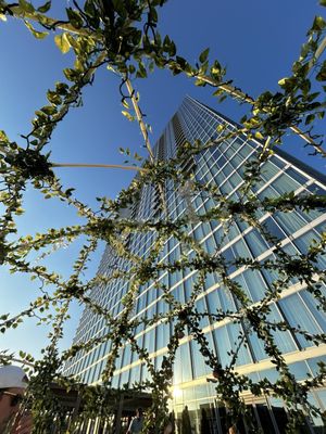 Thistle and Rye by null