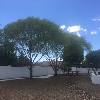 The Kings' Tree Care - Tree Services Near Me The Kings' Tree Care - Tree Services Near Me