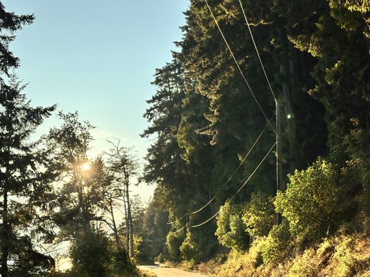 Log Cabin Resort by null