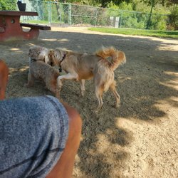 Wardlaw Dog Park - Our dog making friends :)