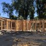 Alpha Construction Management
