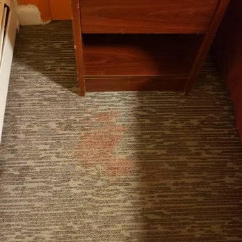 Monticello Motel - Blood on carpet - Hotels Near Me - Framingham, Massachusetts