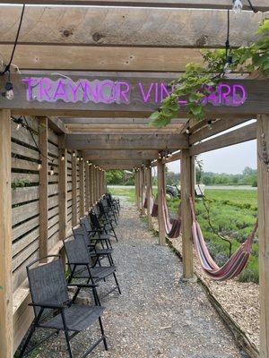 Traynor Family Vineyard by null