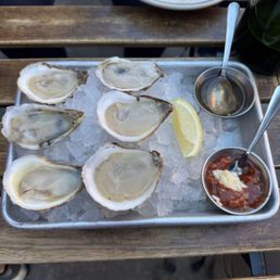 Oysters (East Coast) Oysters (East Coast)
