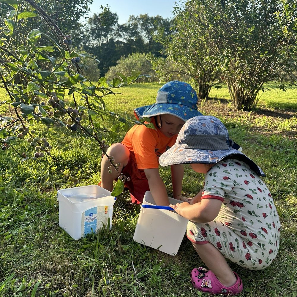 Sunrise Farm - Kids picking berries - Pick Your Own Farms Near Me - Sarver, Pennsylvania