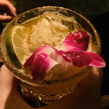 Prohibition - Hibiscus drink ! Yummy ! - Cocktail Bars Near Me - Murray, Utah Prohibition - Hibiscus drink ! Yummy ! - Cocktail Bars Near Me - Murray, Utah