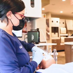 Steven M Wolfram, DDS