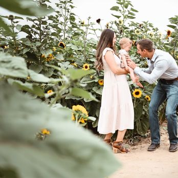 Anderson Farms - Photo op in front of sunflowers - Farms Near Me - Erie, Colorado Anderson Farms - Photo op in front of sunflowers - Farms Near Me - Erie, Colorado