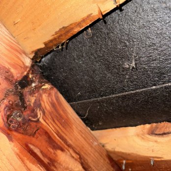 Rossetta's Roofing - This is a leak I found accidentally in the attic. - Roofing Near Me - San Jose, California Rossetta's Roofing - This is a leak I found accidentally in the attic. - Roofing Near Me - San Jose, California