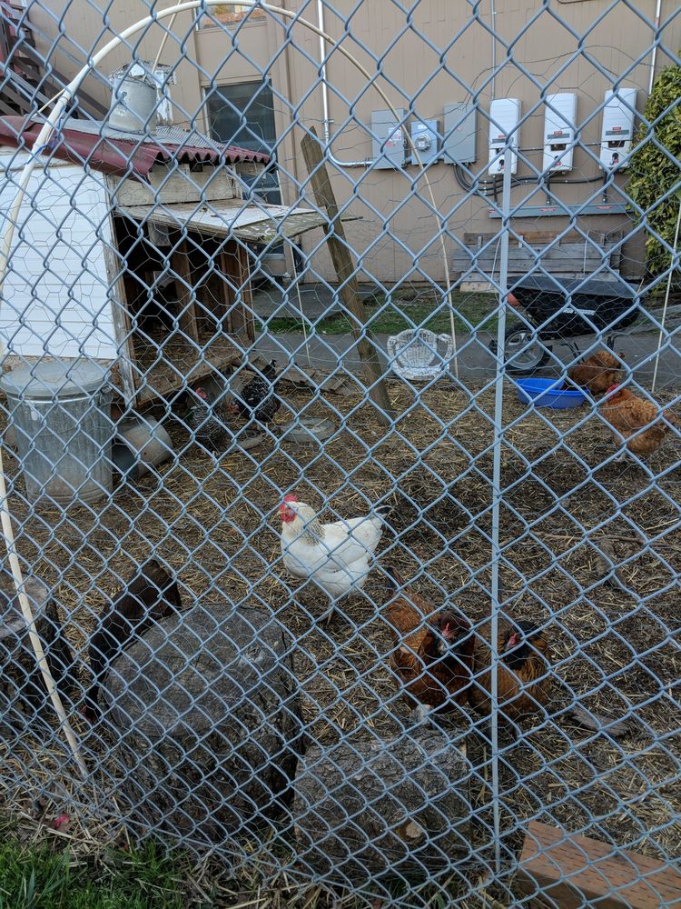 Tucker Maxon School - childcare center in Portland, OR