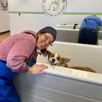 That Dirty Dog - Pet Groomers Near Me - North Andover, Massachusetts That Dirty Dog - Pet Groomers Near Me - North Andover, Massachusetts
